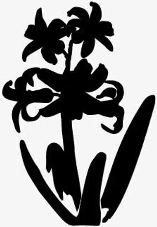 春天花朵黑色风景剪影免抠