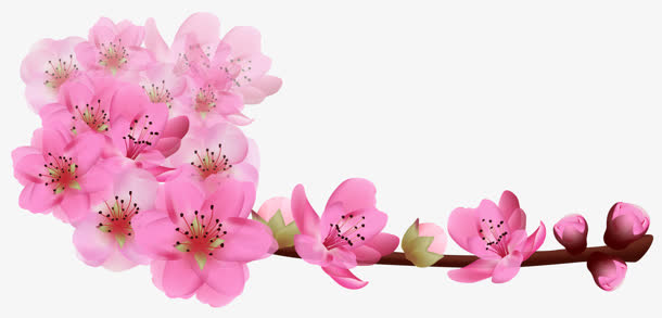 红色桃花高清图片素材图片免抠