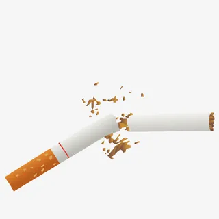 矢量一只烟免抠