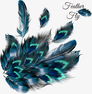 蓝色美丽孔雀羽毛免抠