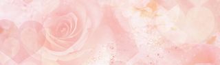 唯美玫瑰花瓣女装banner背景