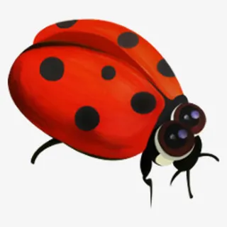 红色瓢虫免抠