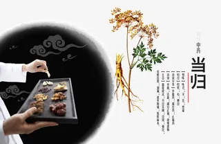 中草药当归免抠