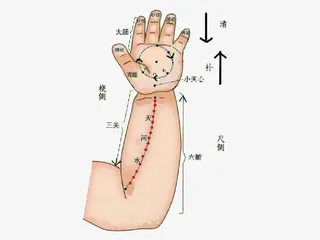 小儿推拿手臂穴位图免抠