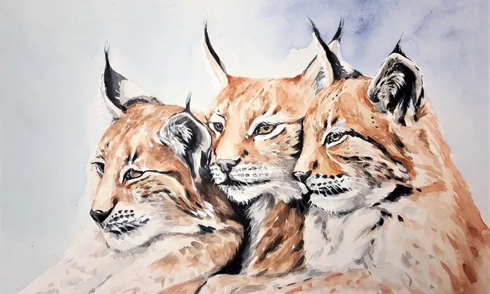 插画免扣老虎高清