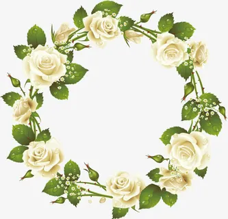 白玫瑰花环装饰元素免抠 白玫瑰花环装饰元素免抠