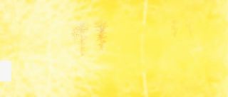 黄色年中大促实惠双节免抠