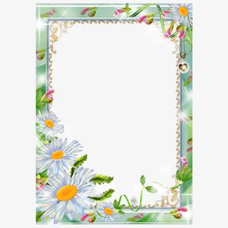 情人节花卉相框免抠