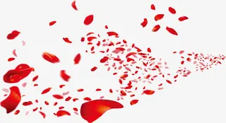 飞舞的花瓣免抠