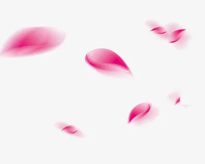 玫瑰花瓣漂浮免抠 玫瑰花瓣漂浮免抠