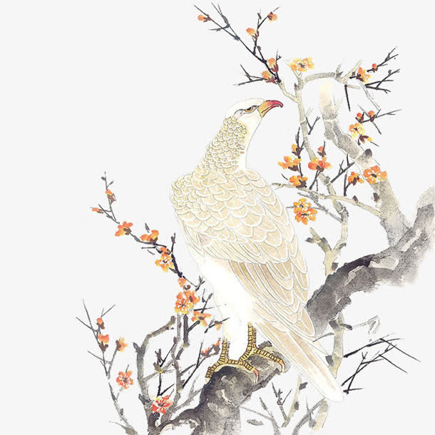 古风彩绘白鹰树枝红花免抠