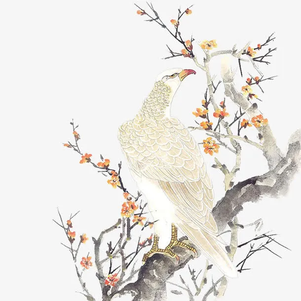 古风彩绘白鹰树枝红花免抠