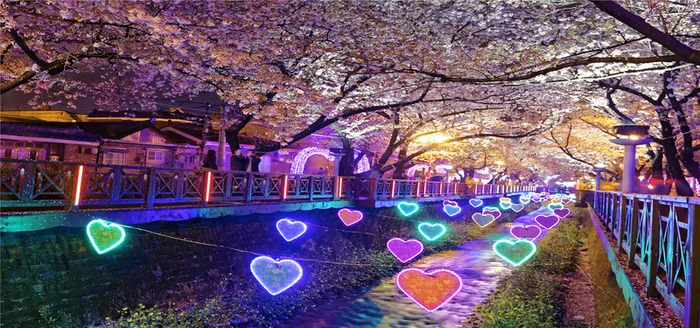 梦幻情人节花海背景高清