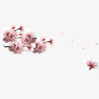 桃花免抠