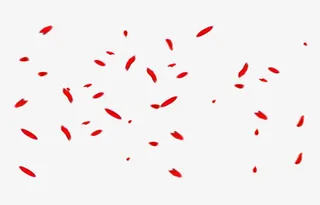 喜庆节日花瓣漂浮透明素材免抠