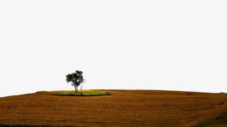 新疆江布拉克十二免抠