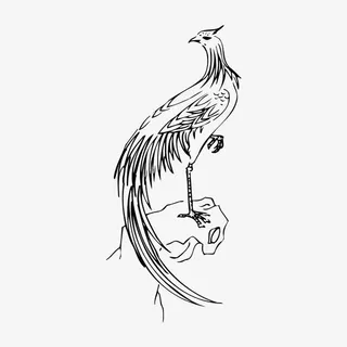 中国风纹样免抠