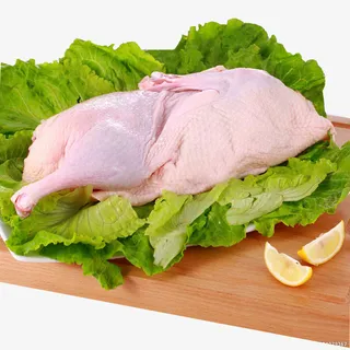 新鲜的禽类鸭肉免抠