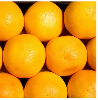 水果蔬菜高清图片免抠