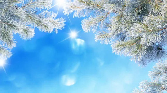 冬季暖冬雪景背景