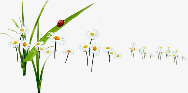 春天田园植物花朵免抠