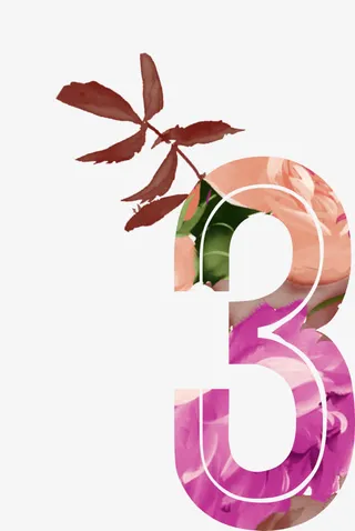 艺术花草数字排列免抠