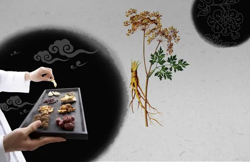 中国风中药古典药材人参灰色背景素材高清