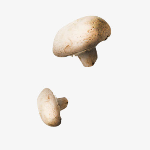蘑菇食物元素免抠