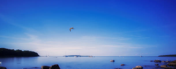 简约大气蓝色湖面飞鸟海报背景