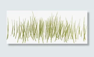 草丛素材图片免抠