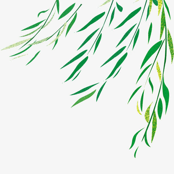 青青柳条免抠