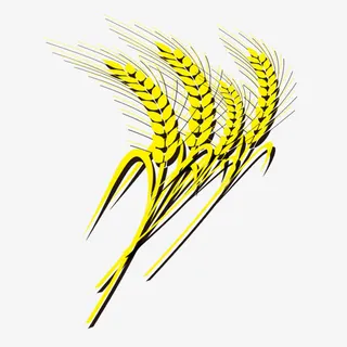 金色麦穗免抠
