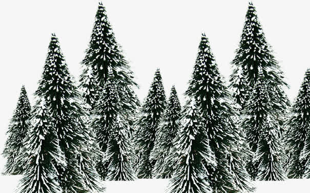雪地里松树免抠