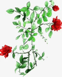 手绘绿叶红色玫瑰免抠