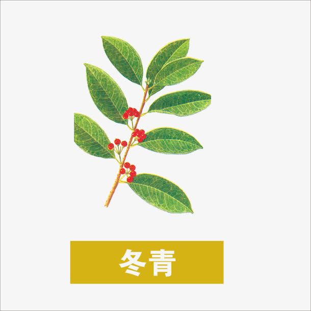 草药免抠