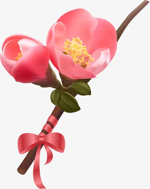 一支梅花免抠