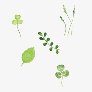 漂浮绿叶免抠素材免抠