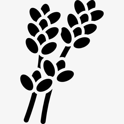 薰衣草图标免抠