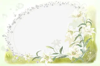 小清新边框素材免抠