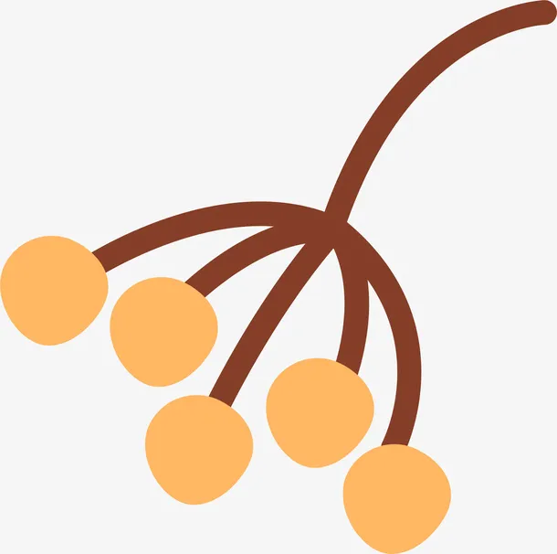 秋季简易柿子免抠