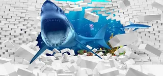 鲨鱼背景图高清