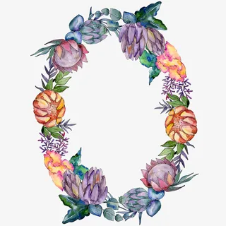 植物边框手绘花朵花圈装饰元素免抠