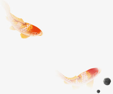 金鱼渐变素材水墨画免抠