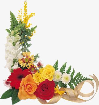 春天美景手绘黄色花朵免抠