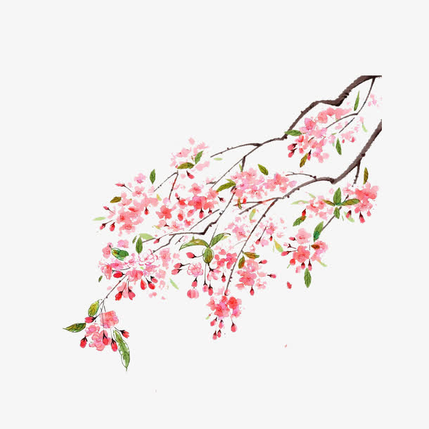 树枝装饰免抠