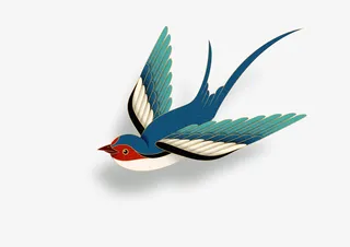 燕子，春天，手绘，，小鸟免抠