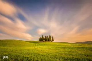 绿色清新草地摄影免抠