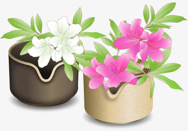 手绘鲜花免抠