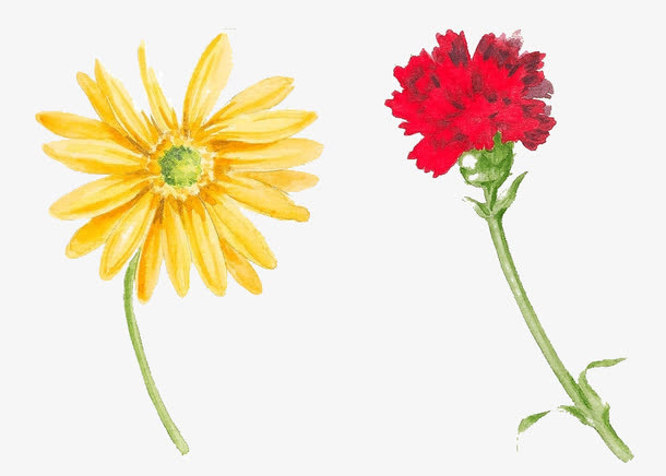 花卉免抠
