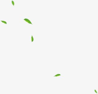 漂浮的叶子绿色叶子免抠